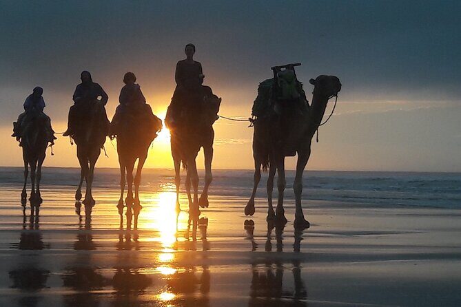Essaouira 1 hour discovery ride on the back of a camel - Practical Details and Expectations