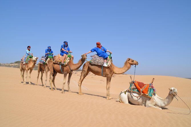 Essaouira 2-Hour Camel Adventure Ride - What Travelers Say