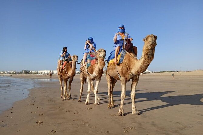 Essaouira: 2H camel/pick up and drop off including - Who Will Love This Tour?