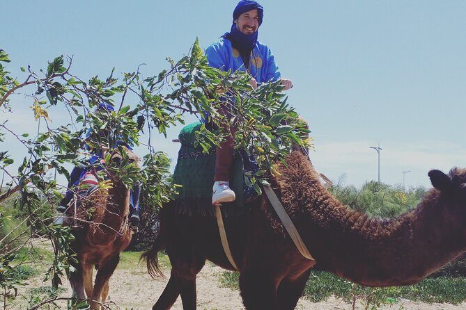 Essaouira: 3-Hour Camel Tour - FAQ