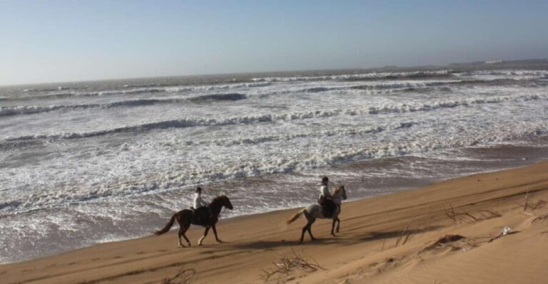 Essaouira: 3-Hour Horseback Ride - Who Is This Tour For?
