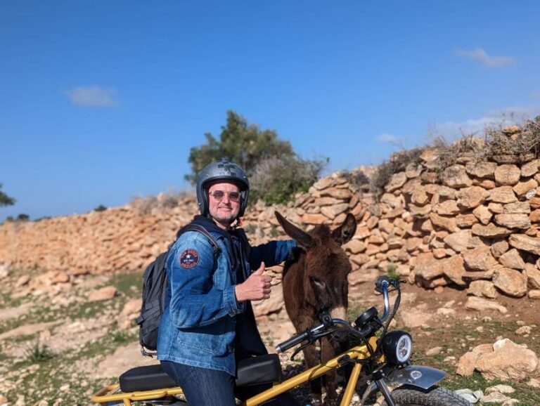 Essaouira: Area Highlights Guided E-Bike Tour - The Experience and Value