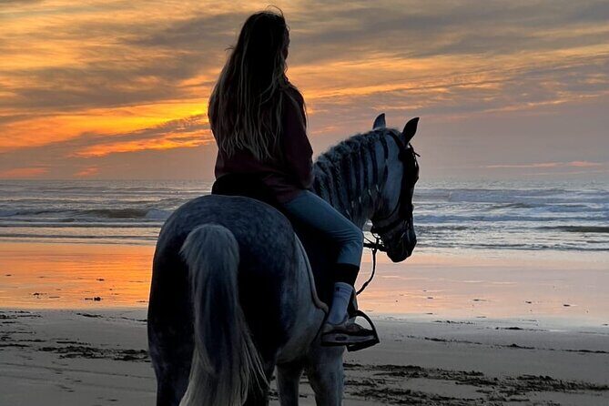 Essaouira Beach Horse Rides &Treks for All Levels - What to Expect During the Ride
