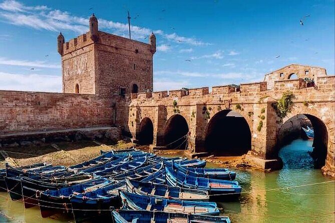Essaouira Beach: Private Full-Day Luxury Trip from Marrakech - Who Is This Tour Perfect For?