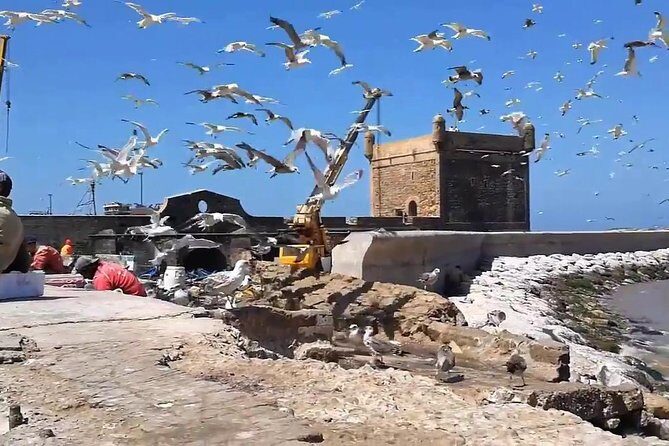 Essaouira Day Departure From Marrakech - What You’ll Appreciate About This Trip