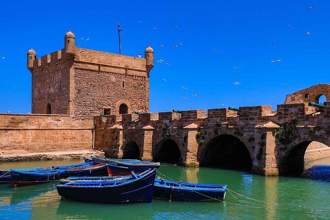 Essaouira Day Trip from Marrakech - Authentic Experiences and Traveler Insights