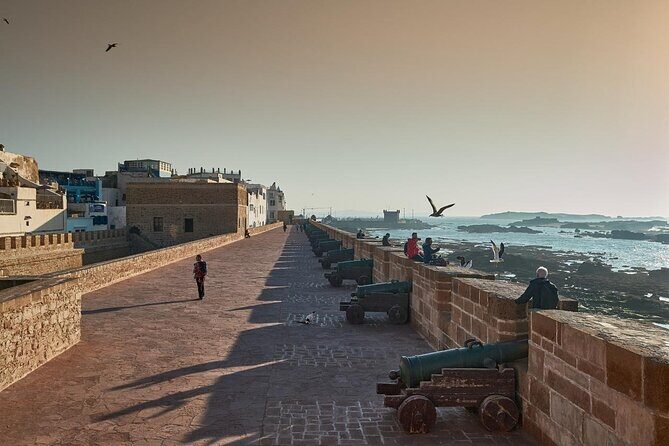Essaouira Day Trip From Marrakech , Sea and Culture - Who Is This Tour Best For?