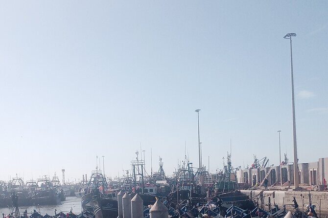 Essaouira day trip shared group - The Experience from Travelers’ Perspectives