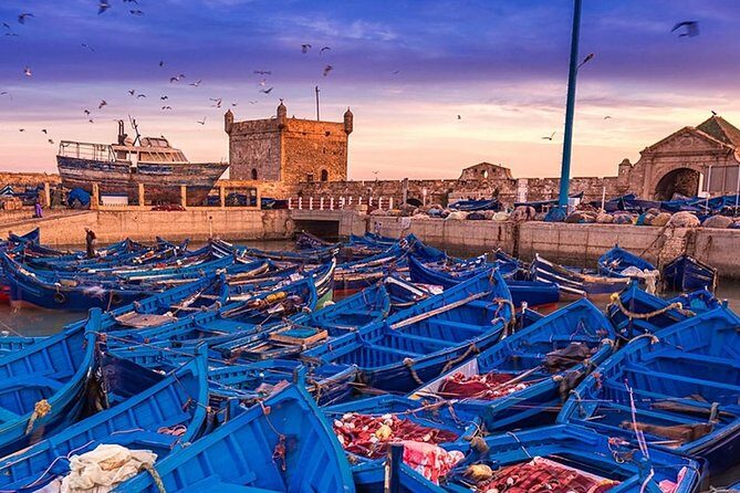 Essaouira Every Surfers Dream (privé) - Authentic Traveller Perspectives