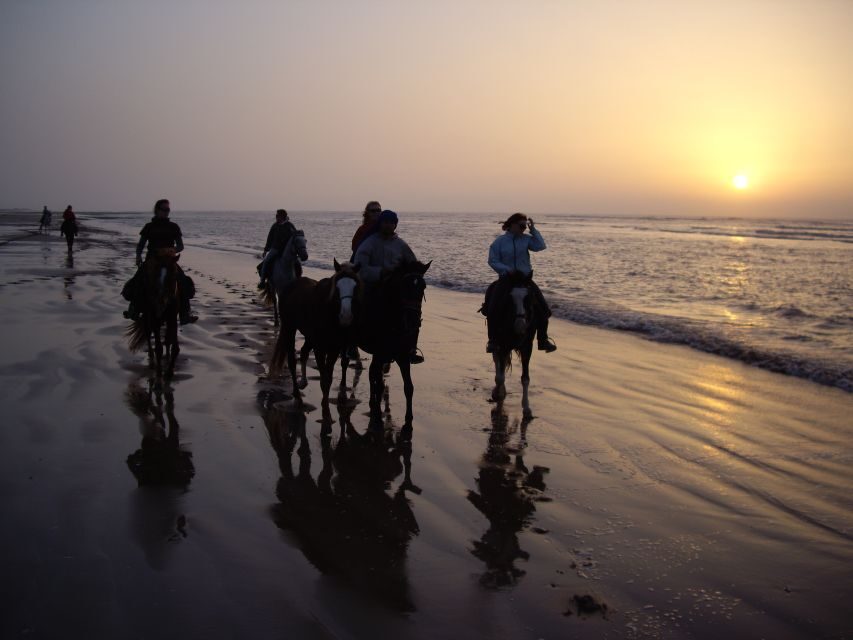 Essaouira: Full-Day Horse Riding Tour with Lunch - Lunch in the Wild