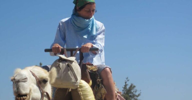 Essaouira: Guided 2h Dromedary Riding with sunset - The Sunset Spectacle