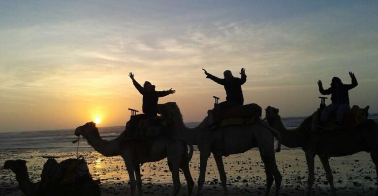 Essaouira: One Hour Dromedary Ride - Why This Experience Offers Good Value