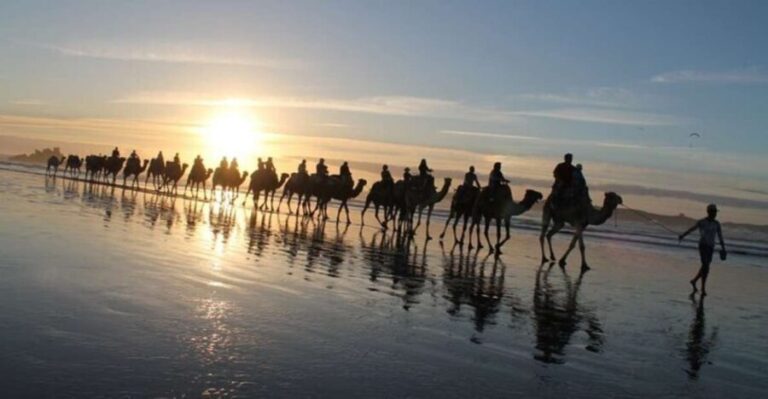 Essaouira P14: 2 Hours Quad Bike Tour and 1 Hour Camel - The Experience Provider: Diana Quad SARL