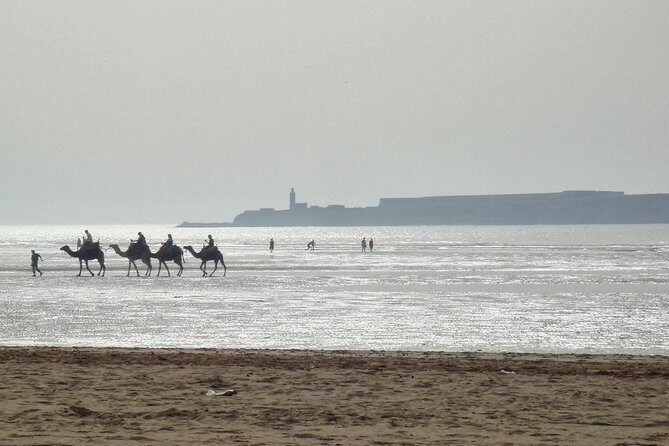 Essaouira Private 1 Day Excursion from Marrakech (min. 2 paying persons) - Exploring the Itinerary in Detail