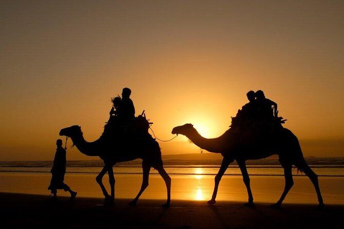 Essaouira Private Full Day Trip From Marrakech - What the Reviews Reveal: The Good and the Not-So-Good