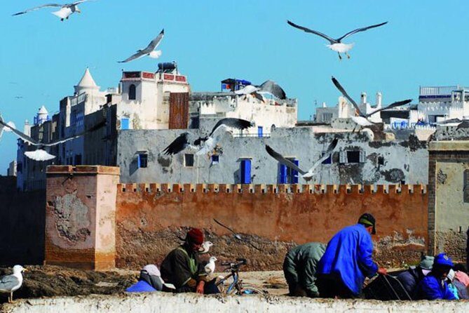 Essaouira Tour from Marrakech shared small-group - Final Thoughts: Is It Worth It?