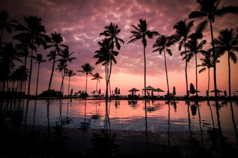 Essence of Sri Lanka: 12 Days of Culture, Nature & Adventure - Analyzing Value and Practical Aspects