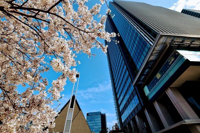 Essential tour for fashion and art in Tokyo for 6 hours with local lunch - Practical Details and What to Expect