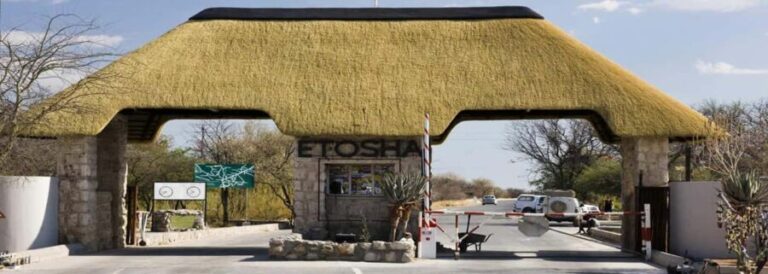 Etosha National Park:Transportation and tours to Etosha park - Final Thoughts