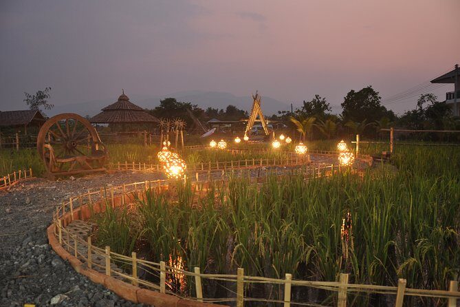 Evening Cooking Class in Organic Farm with Local Market Tour - Detailed Breakdown of the Itinerary