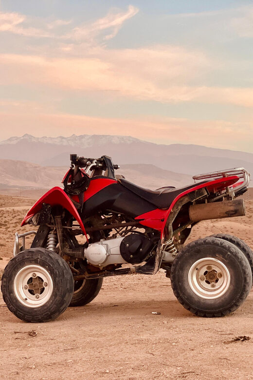 Evening Marrakech: Agafay Desert Quad , Camel & Dinner Shows - Key Points
