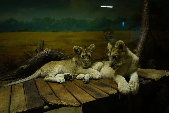 EVERLAND "From Hotel to Hotel" [Premium Private Tour: Only One Group for You] - A Closer Look at the Itinerary