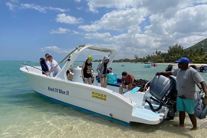 Exciting Dolphin encounters in the Maurtius's lagoon - Value and Booking Tips