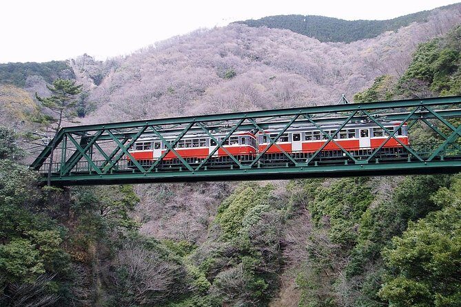 Exciting Hakone - One Day Tour from Tokyo - Authentic Experiences and Practical Details