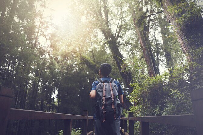 Exclusive 3-Day Sun Moon Lake & Alishan Private Tour - A Detailed Look at the 3-Day Itinerary