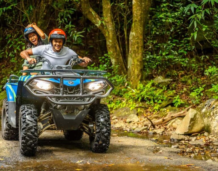 Exclusive Adventure Packages - Light (Single) - Flying Through the Forest: The Discovery Zipline