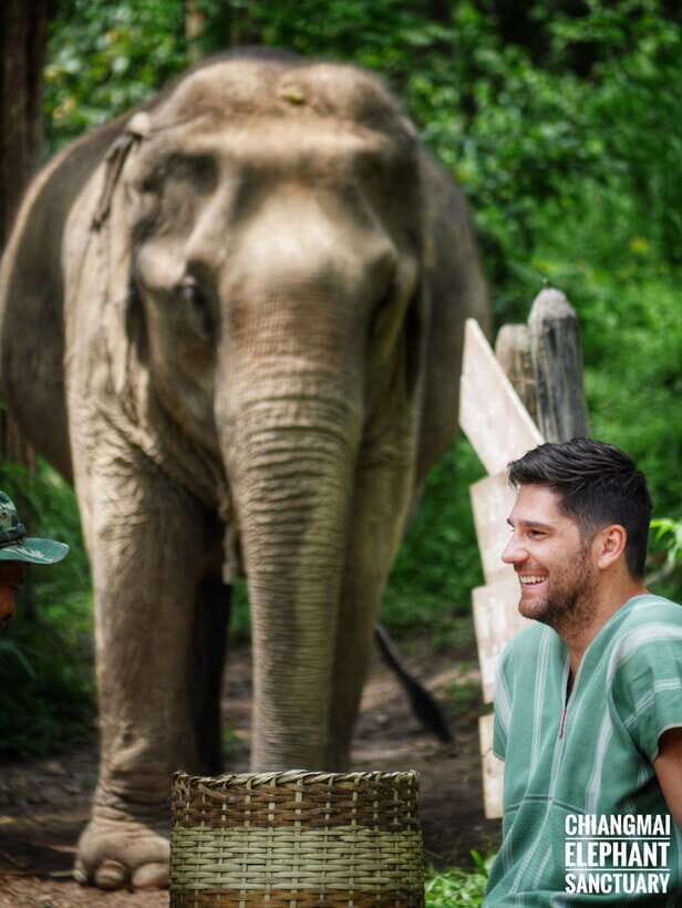 Exclusive experience half day with family giant animals - The Itinerary: What Makes It Special and What to Expect