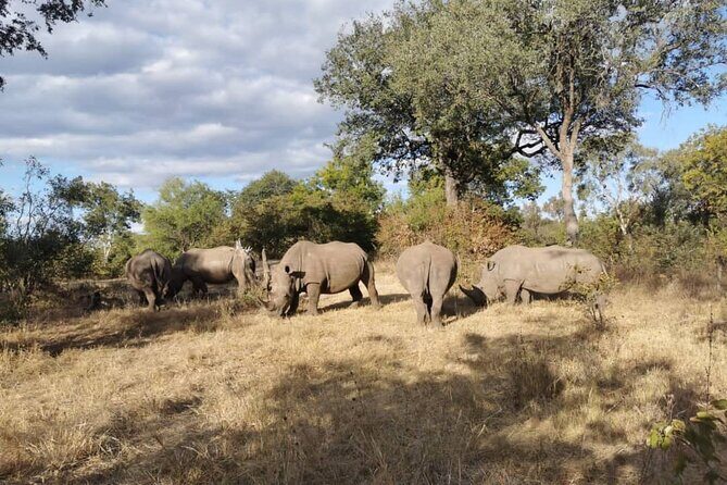 Exclusive Game Drive & White Rhino Safari in Livingstone Zambia - Tour Logistics & Practicalities