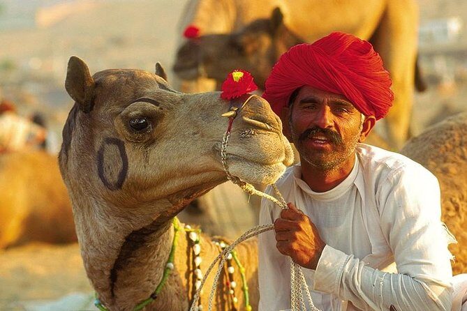 Exclusive: Guided Pushkar Day Trip from Jaipur - Who Would Love This Tour?