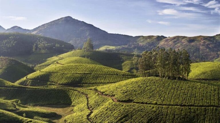 Exclusive Kerala Beauty, Munnar Hill Station Overnight Tour - What to Expect at Each Stop and Why It Matters