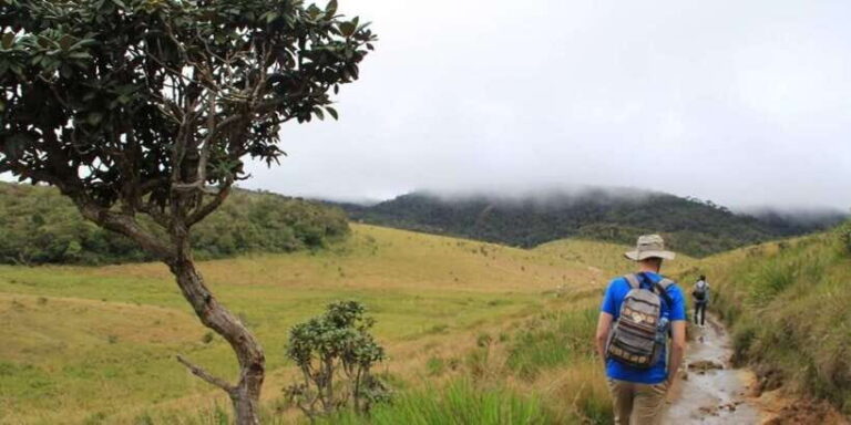 Exclusive Nuawara Eliya: Horton Plains and Tea Factory Tour - Practical Tips for Travelers