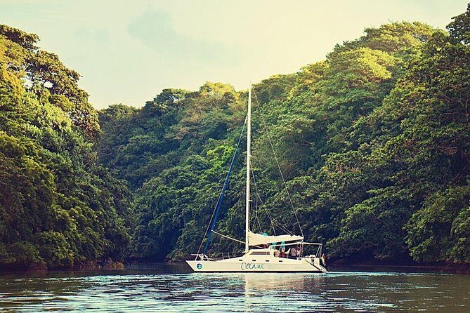 Exclusive Private Catamaran Adventure: Ile aux Cerf (Full Day Cruise incl Lunch) - Analyzing the Experience: What’s in It for You?