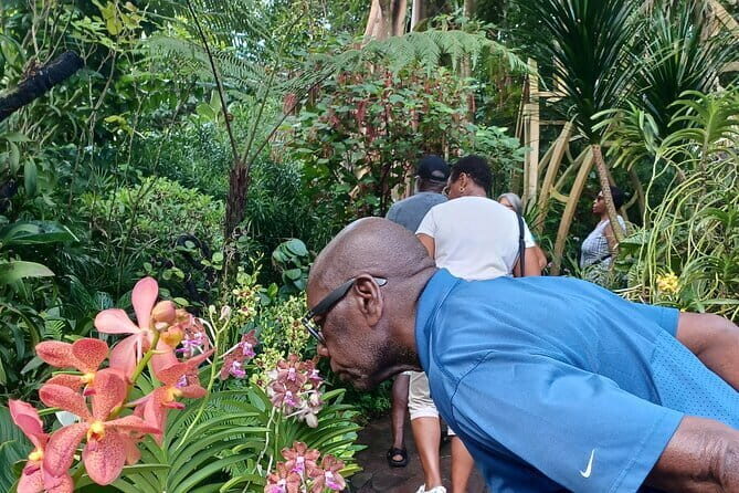 Exclusive Private Tour by a Singaporean Guide - A Detailed Breakdown of the Itinerary