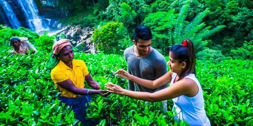 Exclusive : Village Trekking Tour at Ramboda - The Value of This Tour