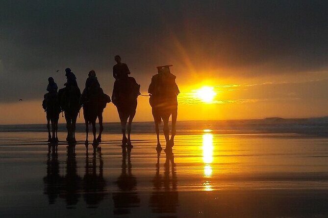 Excursion: 1H/Quad+1H/Camels (free transfer) - The Sum Up