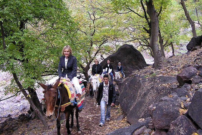 Excursion: Full Day trip to Imlil valley and Toubkal from Marrakech - Practicalities and Value