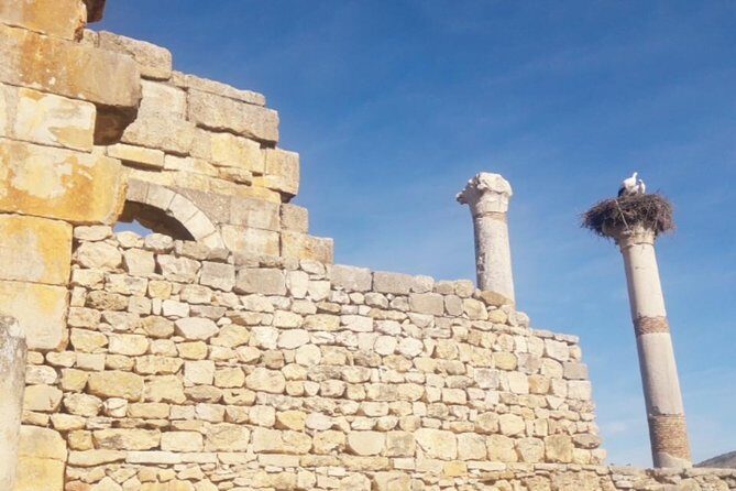 Excursion Meknes Volubilis - Who Should Pick This Tour?