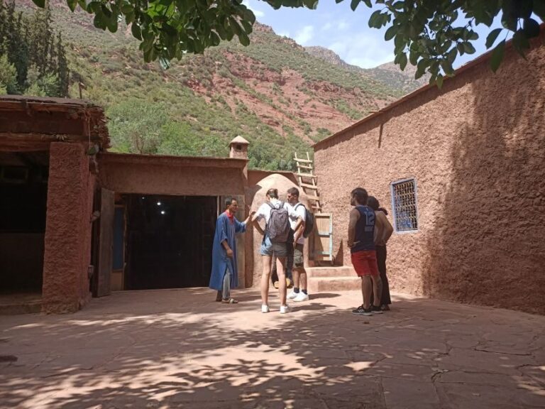 Excursion Ourika valley and atlas mountains with camel ride - An In-Depth Look at the Ourika Valley Tour