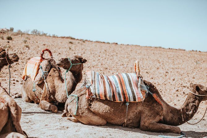 Excursion to Agafay Desert with Camel ride - The Sum Up
