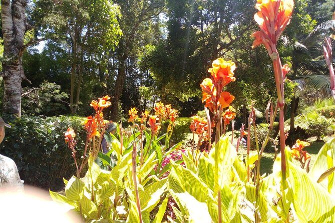Excursion to Kiambethu Tea Farm - FAQ