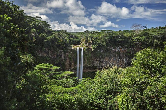 Exotic South: Journey into the Nature (Full-Day Tour incl Lunch & Ebony Forest) - An In-Depth Look at the Tour Itinerary