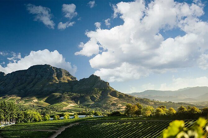 Experience 16 Wine Tasting & 6 Cheese Pairing across 3 Vineyards - FAQ: Practical Questions About the Tour