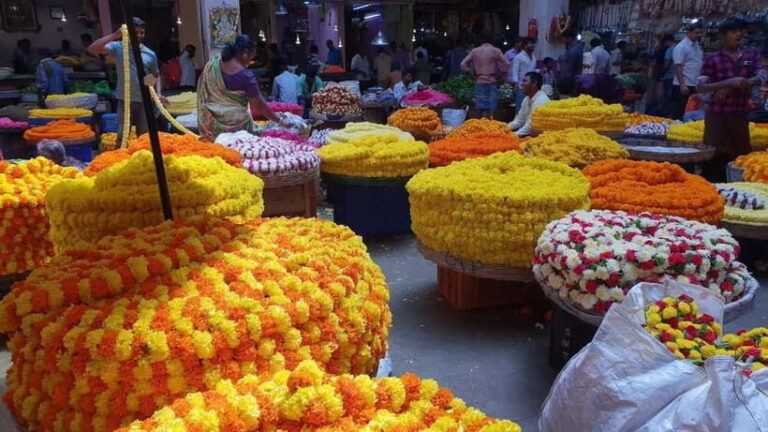 Experience Bangalore - Evening City Walk Tour & Market Visit - Practical Details & Tips
