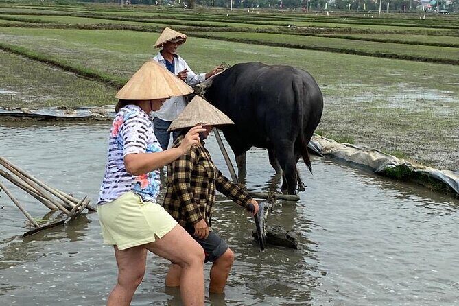 Experience Buffalo riding & farming w Local Farmer - What Travelers Are Saying