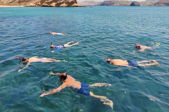Experience Dolphin watching and snorkeling in Muscat - Value and Practicalities