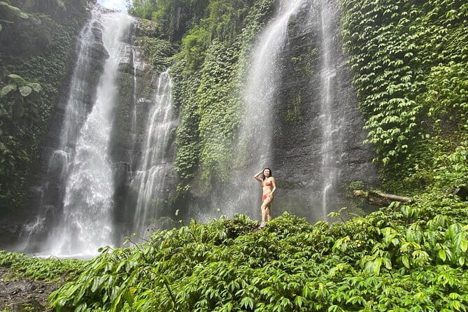 Experience Private Bali Northern Trip at North Waterfall - The Itinerary in Detail